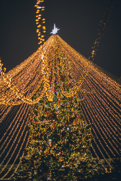 Weihnachtsbaum mit Lichterketten Netz
